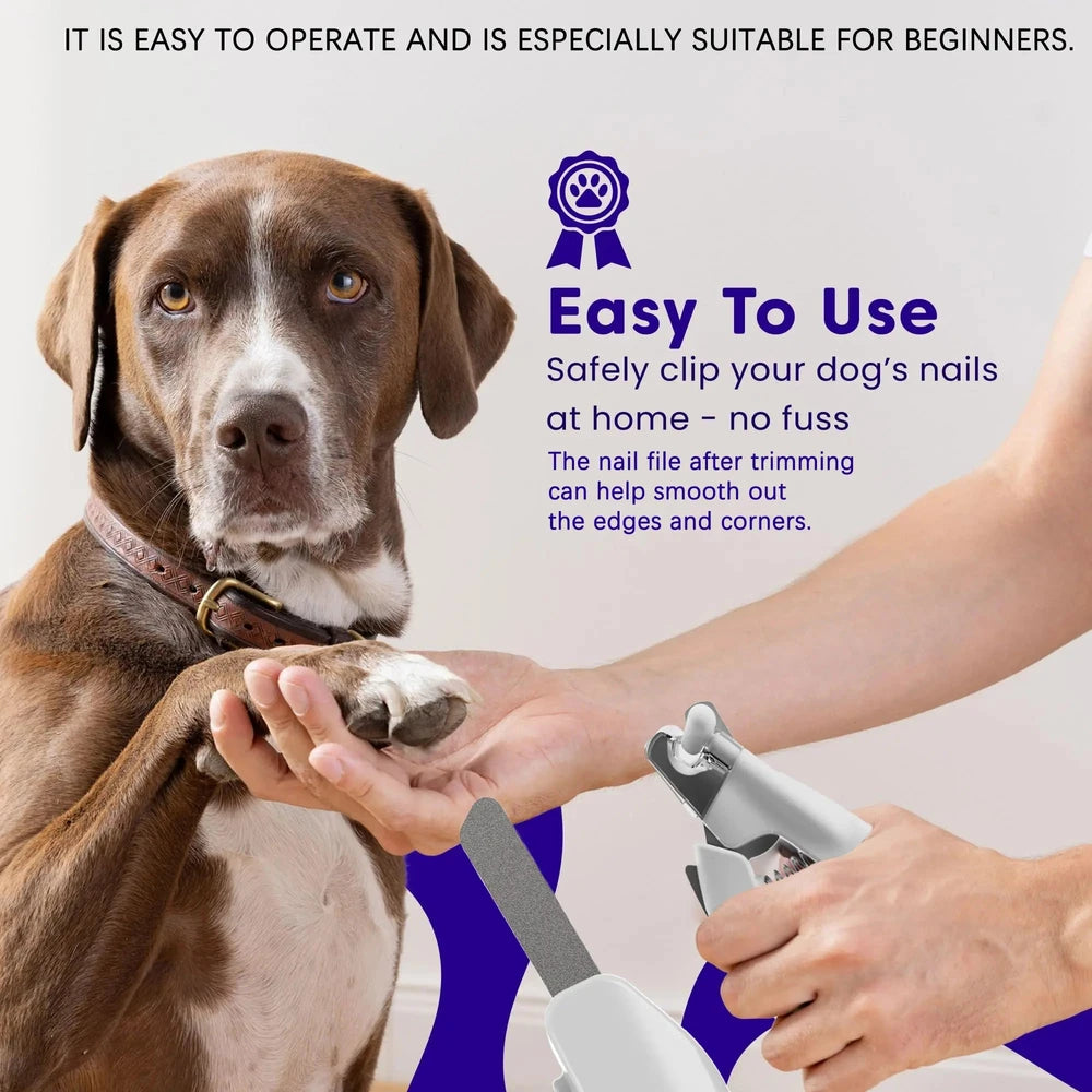 Pet Nail Grooming Kit