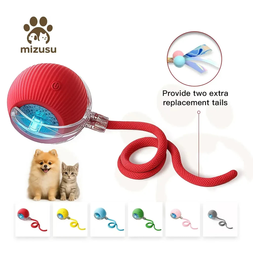Interactive Pet Teaser Ball