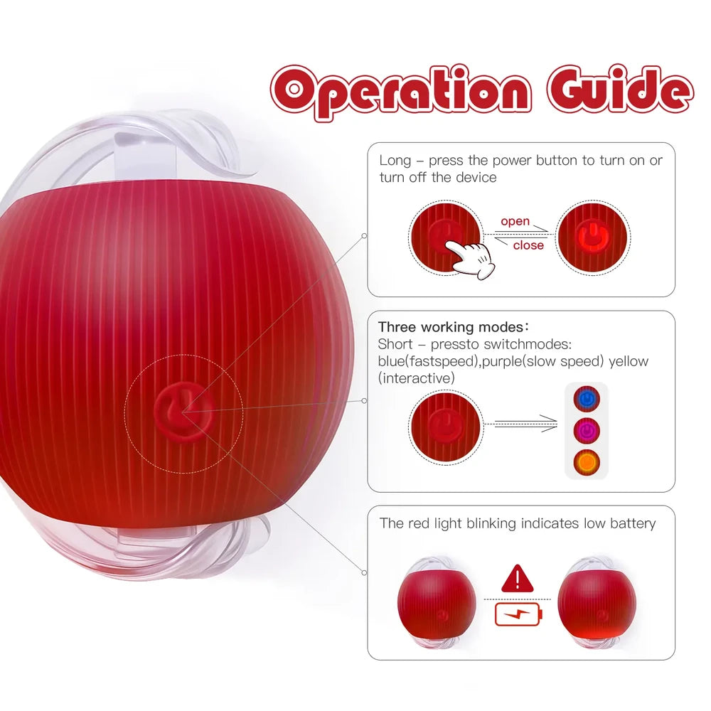Interactive Pet Teaser Ball